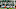 Palmeiras festejando Palmeiras festejando