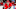 Carolina Hurricanes Carolina Hurricanes
