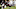Eli Rogers, Louisville Cardinals Eli Rogers, Louisville Cardinals