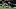 (Photo by Jonathan Bachman/Getty Images) – New Orleans Saints
