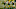 Aaron Rodgers and Aaron Jones Green Bay Packers (Photo by Dylan Buell/Getty Images) Aaron Rodgers and Aaron Jones Green Bay Packers (Photo by Dylan Buell/Getty Images)