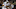 John David Mercer-USA TODAY Sports John David Mercer-USA TODAY Sports