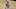 Memphis Grizzlies Memphis Grizzlies