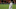 By Ronnie Macdonald from Chelmsford, United Kingdom (Jose Mourinho Uploaded by Dudek1337) [CC-BY-2.0 (http://creativecommons.org/licenses/by/2.0)], via Wikimedia Commons