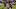 MLS: Manchester City at Toronto FC MLS: Manchester City at Toronto FC