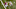 Alabama football QB, Blake Sims Alabama football QB, Blake Sims