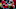 Javon Kinlaw 2020 NFL Mock Draft Javon Kinlaw 2020 NFL Mock Draft