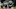 Notre Dame Football (Photo by Al Pereira/Getty Images) Notre Dame Football (Photo by Al Pereira/Getty Images)