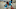 New Orleans Pelicans New Orleans Pelicans