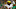 Michigan football schedule Michigan football schedule
