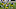 Green Bay Packers Green Bay Packers