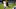 Anthony Martial Anthony Martial