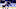 NHL Expansion Draft NHL Expansion Draft