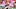 Senior Bowl Zack Baun 2020 NFL Draft Senior Bowl Zack Baun 2020 NFL Draft