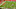 screen-shot-2016-09-27-at-6-06-33-pm screen-shot-2016-09-27-at-6-06-33-pm