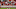 Kansas City Chiefs running back Jamaal Charles Kansas City Chiefs running back Jamaal Charles