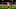 ATLANTA, GA – DECEMBER 04: Eric Berry ATLANTA, GA – DECEMBER 04: Eric Berry