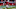 Arizona Cardinals quarterback Kyler Murray (1) (Photo by Kevin Abele/Icon Sportswire via Getty Images) Arizona Cardinals quarterback Kyler Murray (1) (Photo by Kevin Abele/Icon Sportswire via Getty Images)