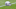 Oakland Raiders Oakland Raiders