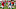 Kansas City Chiefs wide receiver Da'Ron Brown Kansas City Chiefs wide receiver Da'Ron Brown