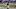 Chicago Bears, Devin Hester Chicago Bears, Devin Hester