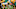 Green Bay Packers Green Bay Packers