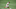 ATLANTA, GA – SEPTEMBER 19: Rodolfo Pizarro #10 of Inter Miami controls the ball during a game against the Atlanta United at Mercedes-Benz Stadium on September 19, 2020, in Atlanta, Georgia. (Photo by Carmen Mandato/Getty Images) ATLANTA, GA – SEPTEMBER 19: Rodolfo Pizarro #10 of Inter Miami controls the ball during a game against the Atlanta United at Mercedes-Benz Stadium on September 19, 2020, in Atlanta, Georgia. (Photo by Carmen Mandato/Getty Images)