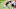 Cleveland Browns Cleveland Browns