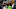New Orleans Pelicans, Zion Williamson New Orleans Pelicans, Zion Williamson