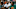 miami hurricanes miami hurricanes