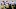 Green Bay Packers Green Bay Packers