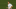 Real Madrid, Martin Odegaard Real Madrid, Martin Odegaard