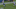 ginn ginn