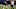 Cleveland Browns Cleveland Browns