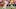 Tennessee football Tennessee football