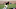 2017 NFL Draft Travis Rudolph 2017 NFL Draft Travis Rudolph
