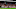 Cleveland Browns