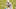 Miami Dolphins, 2021 NFL Draft Miami Dolphins, 2021 NFL Draft