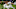PORTLAND, OREGON – MARCH 01: Cristhian Paredes #22 of Portland Timbers attempts a shot against Romain Metanire #19 and Michael Boxall #15 of Minnesota United during the second half at Providence Park on March 01, 2020 in Portland, Oregon. Minnesota won 3-1. (Photo by Steve Dykes/Getty Images) PORTLAND, OREGON – MARCH 01: Cristhian Paredes #22 of Portland Timbers attempts a shot against Romain Metanire #19 and Michael Boxall #15 of Minnesota United during the second half at Providence Park on March 01, 2020 in Portland, Oregon. Minnesota won 3-1. (Photo by Steve Dykes/Getty Images)
