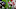Kansas City Chiefs Kansas City Chiefs