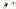Boston Bruins