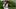 Jul 26, 2014; Cincinnati, OH, USA; Cincinnati Bengals wide receiver A.J. Green (18) makes a catch during training camp at Paul Brown Stadium. Mandatory Credit: Aaron Doster-USA TODAY Sports