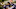 Could Jordan Johnson reach his potential in 2021? Mandatory Credit: Robert Franklin/South Bend Tribune via USA TODAY NETWORK Could Jordan Johnson reach his potential in 2021? Mandatory Credit: Robert Franklin/South Bend Tribune via USA TODAY NETWORK