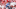 Best Oklahoma football seasons Best Oklahoma football seasons