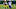 Green Bay Packers, Minnesota Vikings, Trade Deadline Green Bay Packers, Minnesota Vikings, Trade Deadline