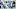 Kentucky football Kentucky football