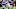 Minnesota Vikings (Photo by Hannah Foslien/Getty Images) Minnesota Vikings (Photo by Hannah Foslien/Getty Images)