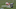 WELKER WELKER