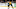 peter cehlarik bruins peter cehlarik bruins