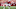 49ers 49ers